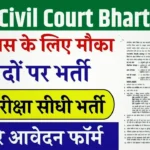 Bihar Civil Court Bharti 2025